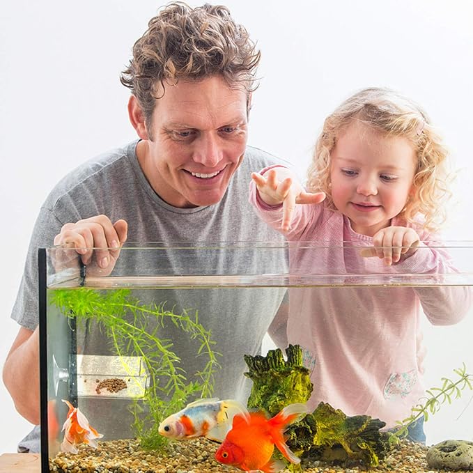 balacoo Aquarium Feeding Plate with Suction Cup Transparent Shrimp Feeder Bowl Adjustable Height Fish Tank Feeder for Freshwater Fish and Shrimp Easy to Clean 2.55 Inch Square