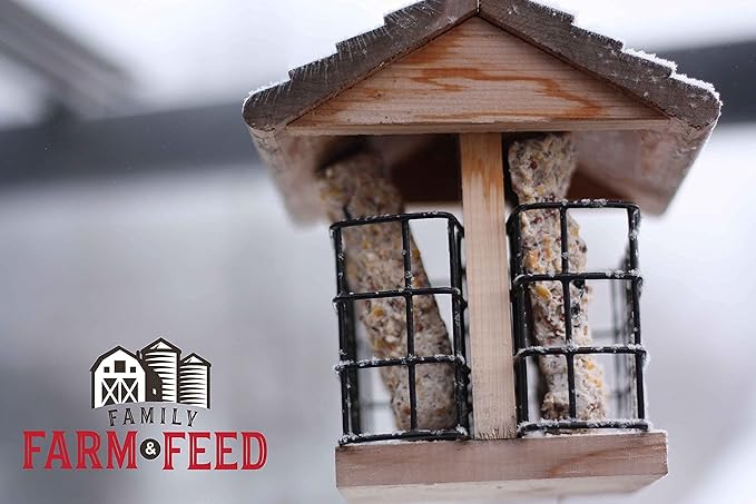 | Four Seasons | Suet Cake | Wild Bird Food | Backyard Songbird | 2 Cakes