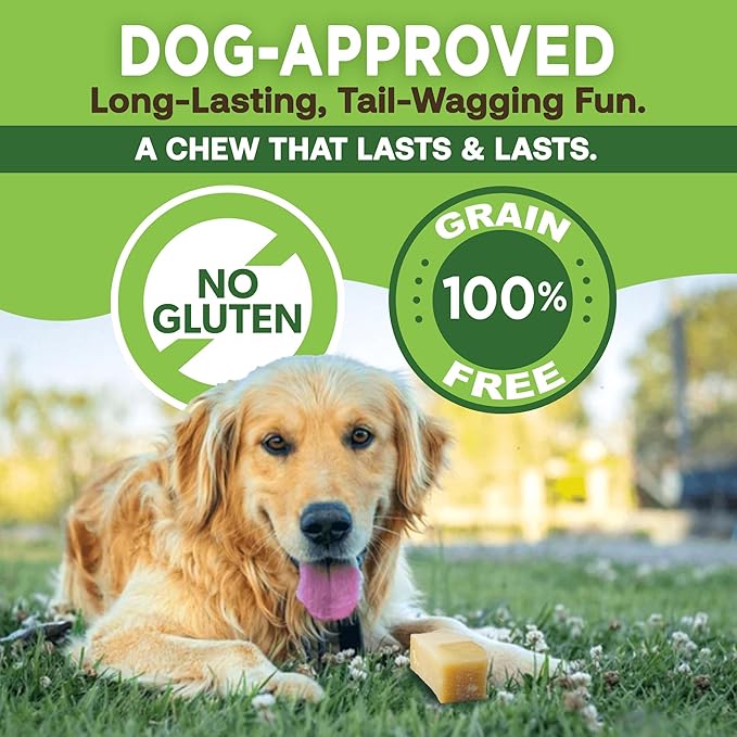 EcoKind Premium Gold Yak Cheese Himalayan Dog Chews, Dog Treats Large Breed, All Natural, High Protein, for Aggressive Chewers, Large - 12+ Chews (3 lb)