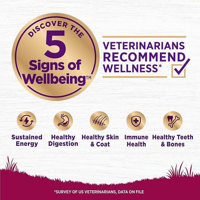Wellness Complete Health Age Advantage Small Breed Senior Dry Dog Food, Wholesome Grain Kibble, Natural, Turkey and Peas Recipe, 4 lb Bag