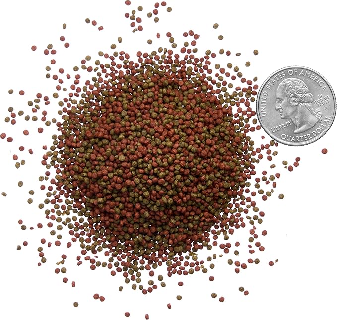 Plecoceramics Betta Fish Pellets Extreme Color, Complete Nutrition Plus Color Boost, Enhancing Floating Food Betta Fish (3.5 oz / 100 g)