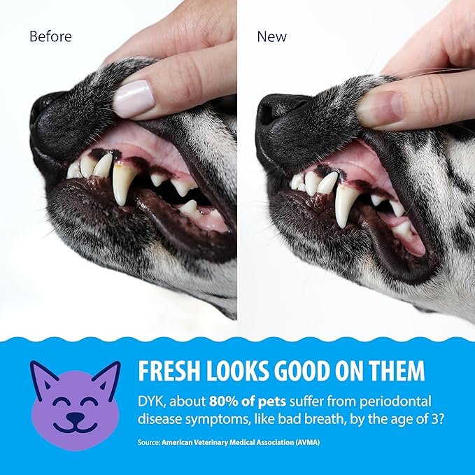 Dental Fresh Water Additive for Dogs and Cats, Clean Teeth and Fresh Breath, Daily Pet Oral Care, Flavorless, 8 fl oz