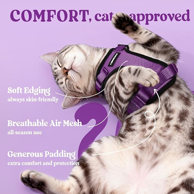 rabbitgoo Cat Harness and Leash for Walking, Escape Proof Soft Adjustable Vest Harnesses for Cats, Easy Control Breathable Reflective Strips Jacket, Purple, XS
