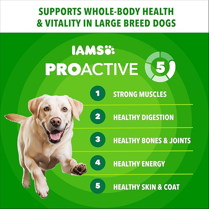 IAMS Proactive Health Large Breed Adult Dry Dog Food Chicken & Whole Grain Recipe, 15 lb. Bag