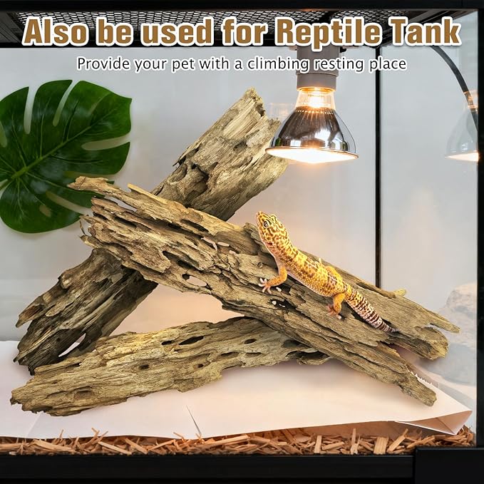 PINVNBY Natural Driftwood for Aquarium Large Reptile Terrarium Decor Decorations Assorted Branches Dearded Dragon Tank Accessories (Slim Style: 7.87-11.8 inches/3 Pack)