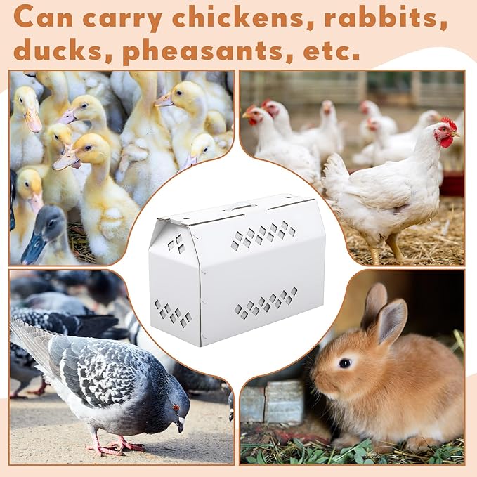 6 Pack Single Live Chicken Shipping Box, 17.7"L x 7.8"W x 11.8"H Cardboard Live Bird Carrier Box with Ventilation Holes Handle, Thickened Corrugated Paper for Poultry, Pets, Animals(White)