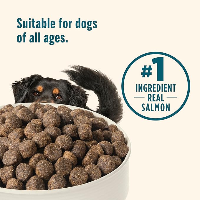 Nutrish Grain Free Salmon & Sweet Potato Recipe Dry Dog Food, 11.5 lb. Bag, Packaging May Vary (Rachael Ray)