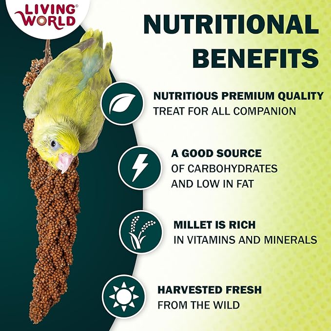 Living World – Millet Spray for Birds, 5 Pounds – Premium Treat for Budgies, Canaries, Finches, Cockatiels and Other Pet Birds