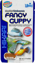 Fancy Guppy