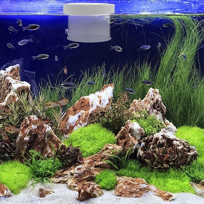 Mipcase Floating Aquarium Breeding Box Fish Tank Hatchery Openable Cover Easy Removal and Floating Design for Isolating Small Fish and Eggs