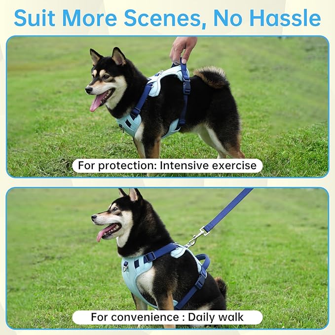 No Pull Dog Harness Leash and Collar Set, Soft Adjustable Dogs Vest Reflective and Comfortable Handle Blue Large