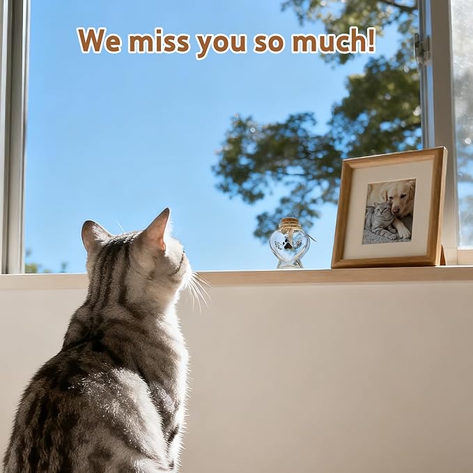 Pet Memorial Gift for Loss of Cat, Heart Shape Glass Jar & Bottle for Fur, Hair, Whiskers or Ashes Keepsake Urn with Cork Top, Charms for Cute Rainbow Bridge Memorial