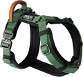 MADE TO ROAM Premium Explorer Harness - Y-Shaped Dog Harness with Adjustable Durable Nylon, Soft Padding, Metal Buckles and Leather Handle for Small, Medium, Large Dogs (Oregon Haze, Size 3)