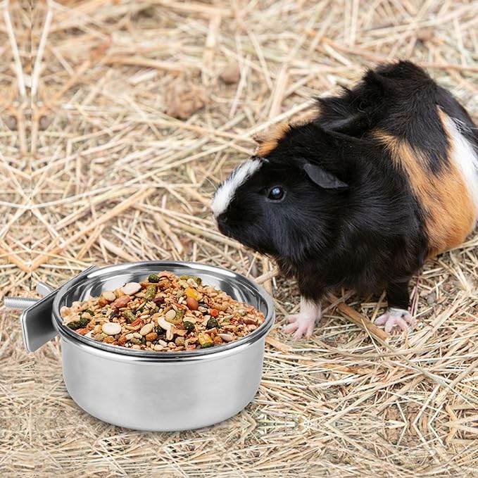 Hypeety Stainless Steel Food Water Bowl for Pet Bird Crates Cages Coop Dog Cat Parrot Bird Rabbit Pet (Small,3.9 * 1.9in)