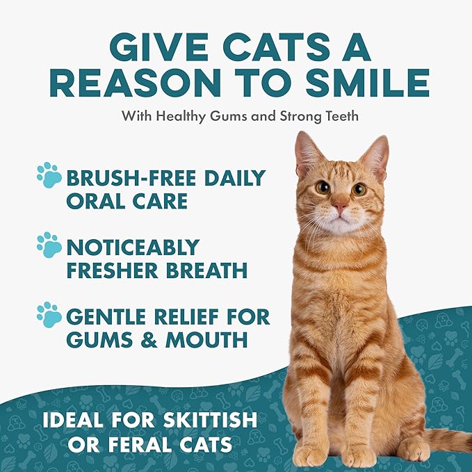 Cat Bad Breath & Oral Health Remedy, Natural Dental Care Cats Teeth, Mouth and Gums, Easy to Use Daily Supplement for Stomatitis, Gingivitis, Plaque & Tartar Control for Cats, 800 Small Pills