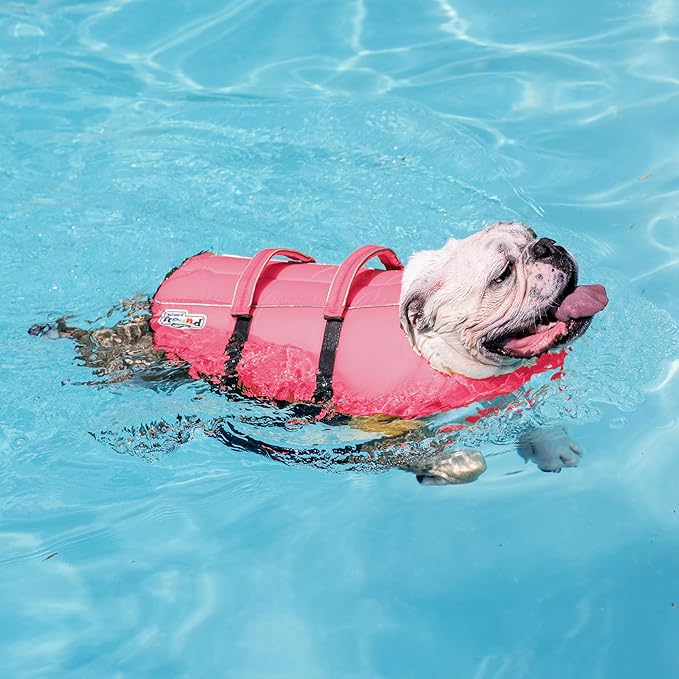Outward Hound Granby Splash Pink Dog Life Jacket, Large