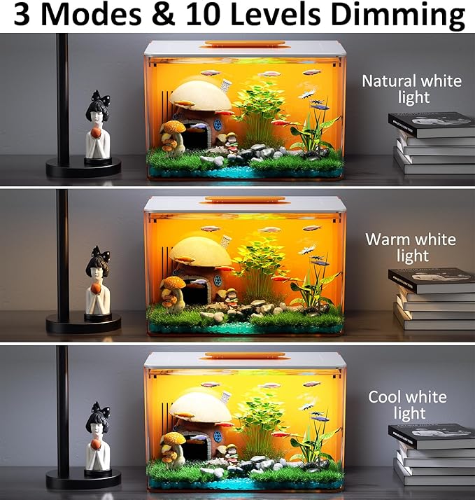 Betta Fish Tank Kit 2.5 Gallon Aquarium with Hidden Filtration, Light, Lid, Small Acrylic Tank for Beta, Shrimp, Guppy