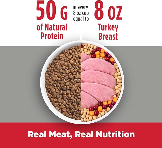 Nulo Freestyle High Protein Cat & Kitten Food, Turkey & Duck Recipe - Natural Grain-Free Dry Cat Food with Omega Fatty Acids & Probiotics, 4 lb Bag