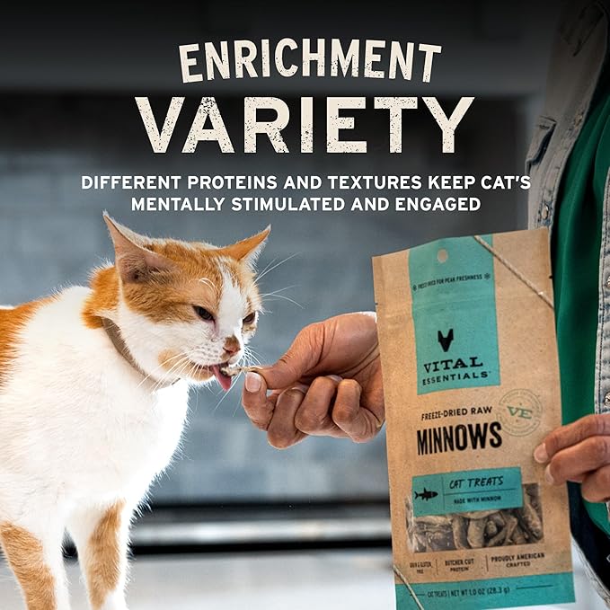 Vital Essentials Freeze Dried Cat Treats | Salmon Bites, Single Protein | Premium Quality | Grain Free, Crunchy Cat Treats, 1.1 oz Bag