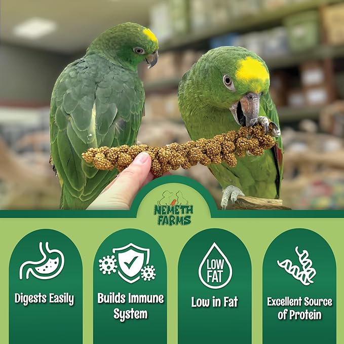 Nemeth Farms 5lbs Premium Spray Millet for Exotic Birds – Grown in The USA – 100% Natural & Non‑GMO Bird Treat – Sun‑Dried Millet for Parakeets, Conures, Cockatiels, Parrots & Budgies