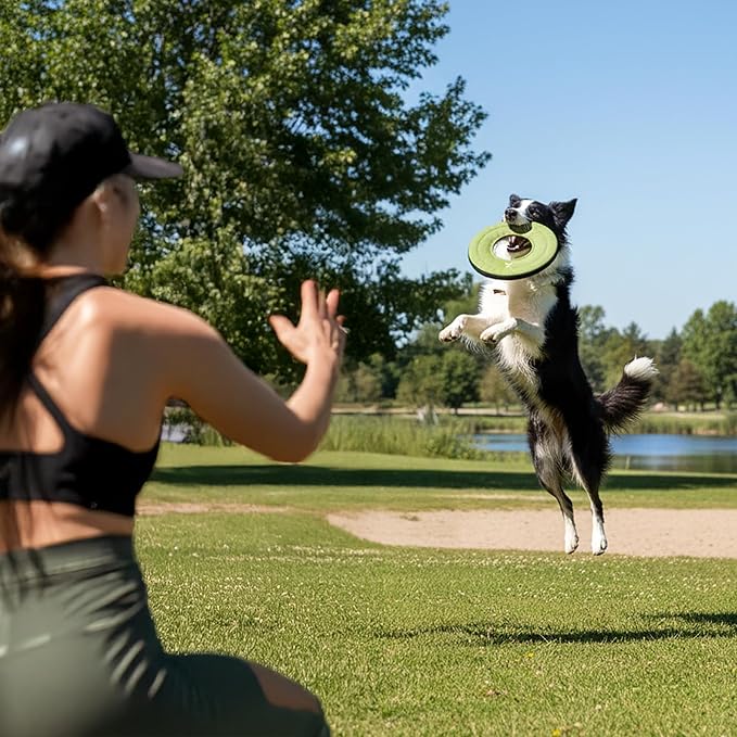 OllyDog Super Flyer Dog Frisbee Toy, 11" – Durable, Lightweight & Water-Resistant Flying Disc – Soft on Teeth & Gums – Floats on Water – Outdoor Fetch Toy for Medium & Large Dogs (Palm)
