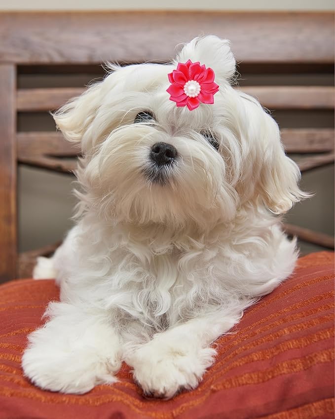 PET SHOW 20 Pack/10 Pairs Flower Small Dogs Hair Bows with Rubber Bands for Small Dogs Cat Puppy Topknot Party Birthday Grooming Hair Accessories