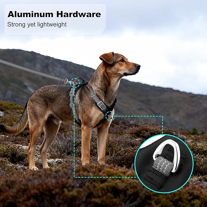 No Pull Dog Harness – Adjustable Reflective Nylon Vest for Small Medium Large Dogs, Escape Proof Training Harness with Leather Control Handle, Lightweight Aluminum Hardware (Black, M)