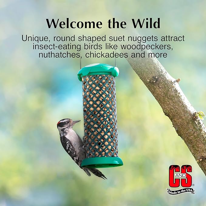 C&S Woodpecker Suet Nuggets 27 Ounces, 6 Pack