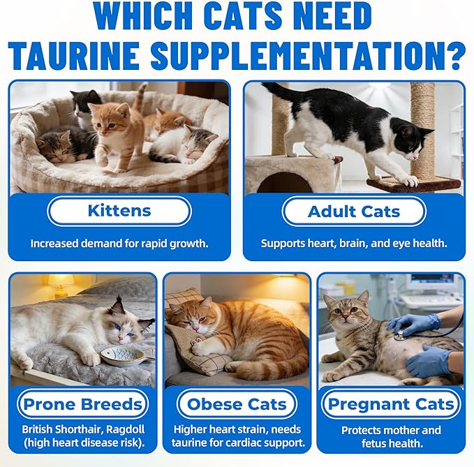 Just Try 6.35 oz Cat Taurine Bites - Taurine for Cats with L-Carnitine, Omega 3 and Vitamins - Supports Immune, Heart and Eyes Health Cat Supplements 300 Bites
