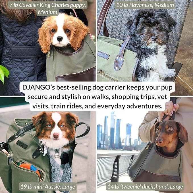 DJANGO Waxed Canvas & Leather Dog Carrier Tote Bag – Premium Soft-Sided Travel Dog Purse with Safety Leash, WR Lining, Zipper Pockets – Everyday Pet Carrier for Small Dogs up to 20 lbs (Olive, Large)