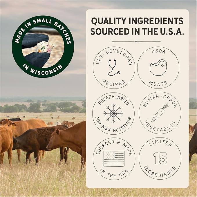 Tally's Ranch Freeze-Dried Raw Dog Food | Complete & Balanced Meal, Topper or Mixer | Real Beef | High Protein Diet for Picky Eaters | Vet Formulated, Made in USA, Whole Food Ingredients (2lb Bag)