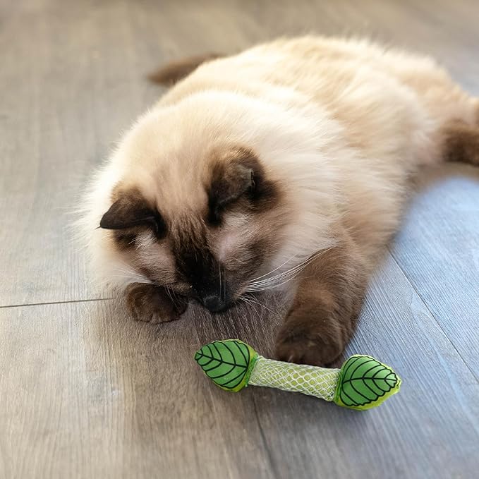 Catstages Fresh Breath Mint Stick Dental Cat Chew Toy with Catmint,Teeth Cleaning & Fresh Breath,Solo or Interactive Play,Green,(Pack of 2)