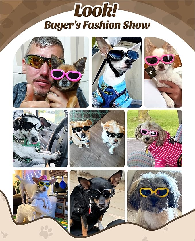 Lewondr Small Breed Dog Goggles with UV Protection, Adjustable Strap, Windproof & Anti-Fog
