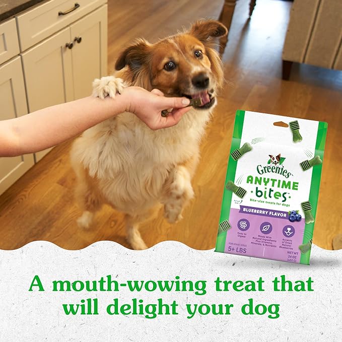Greenies Anytime Bites Dog Treats, Blueberry Flavor, Dog Training Treats, 24 oz. Bag