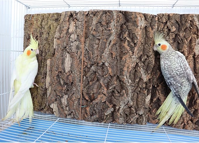 2 Pack 12 x 8 Inch 100% Natural Cork Perch, Bird Cork Seat Boards, Birdcage Bark Decor Accessories for Birds Parakeets Budgie Parrot Cockatiel Hamster Guinea Pig Rat