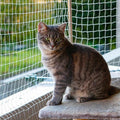 Cat Balcony Net Cat Netting Balcony Rail Net Cat PET Balcony Anti Fall Netting Cat Fence Nets Transparent Nylon Pet Mesh Fence Anti Fall Netting for Balcony Window Stairs (10 * 33ft, White)