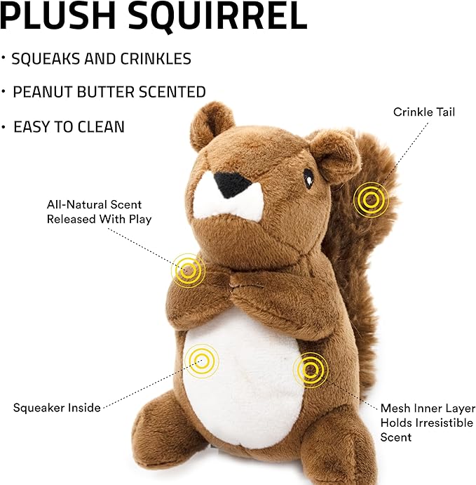 Playology Dog Toys | Plush Toy Squirrel Stuffed Animal for Dogs | Small Peanut Butter Scented Toy - Easy to Clean and Made from Non Toxic Materials