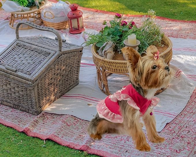 XPUDAC 4 Pack Pet Dog Dress Shirt Puppy Skirt Cute Doggie Dress Summer Clothes Dog Apparel for Small Dogs and Cats (Pink Angel, Large(12-19 Lbs))