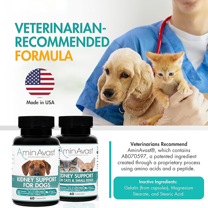 AminAvast Kidney Support Supplement for Dogs, 1000mg 2-Pack - Promotes Natural Kidney Function - Aids in Health and Vitality of Aging Kidneys - Easily Administered - 60 Sprinkle Capsules