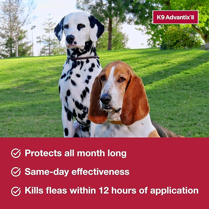 K9 Advantix II Large Dog Vet-Recommended Flea, Tick & Mosquito Treatment & Prevention | Dogs 21-55 lbs. | 2-Mo Supply (Packaging may vary)