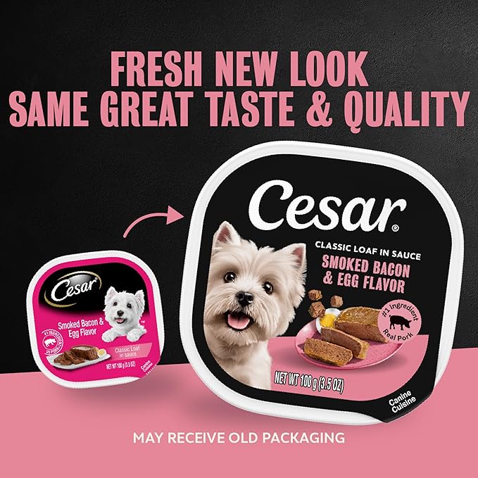 Cesar Classic Loaf in Sauce Adult Wet Dog Food Bacon & Egg Flavor, 3.5 oz. Easy Peel Trays, 24 Count (Pack of 1)