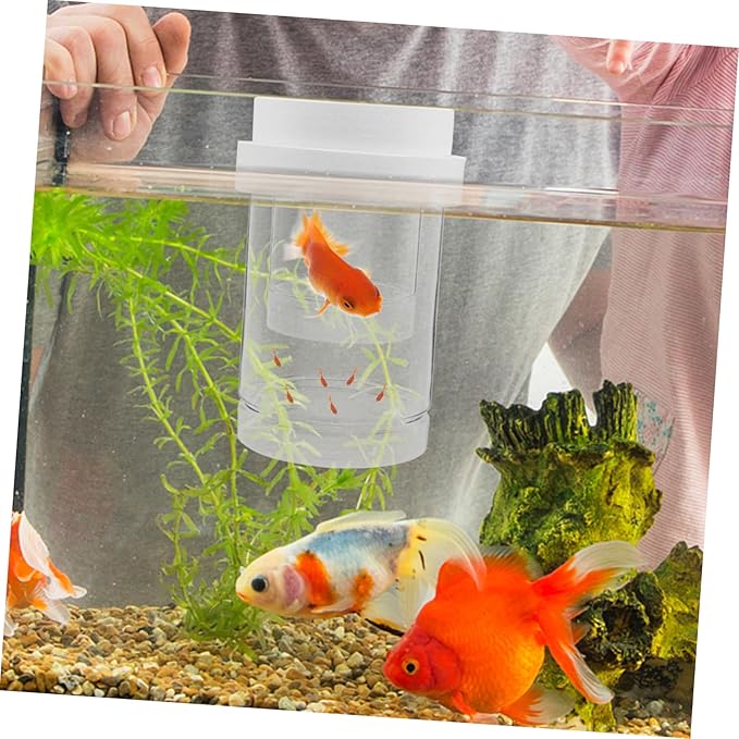 Kisangel 1 Set Fish Breeding Box: Guppy Breeder Box - Floating Isolation Hatchery Incubator for Guppy Betta Shrimp - Transparent Fish Tank Divider