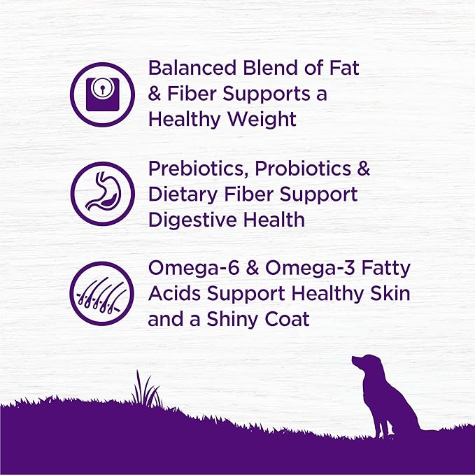 Wellness Complete Health Healthy Weight Adult Dry Dog Food, Wholesome Grain Kibble, Chicken and Peas Recipe, 24 lb Bag