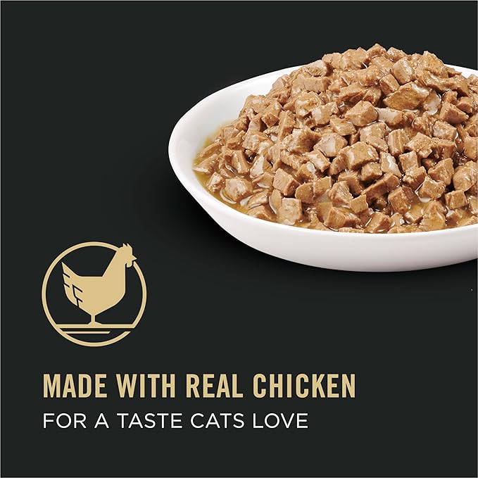 Purina Pro Plan Urinary Tract Health Chicken Entree in Gravy Cat Food - 5.5 oz. Cans,(Pack of 48)