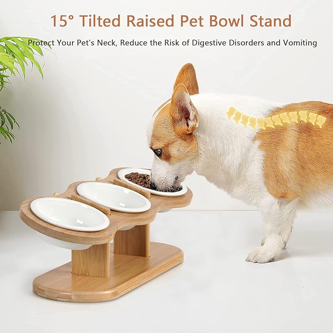 Elevated Cat Bowls, 2 Heights Adjustable Raised Dog Bowl Stand, 3 Ceramic Bowls for Cats and Small Dogs, 15° Tilted