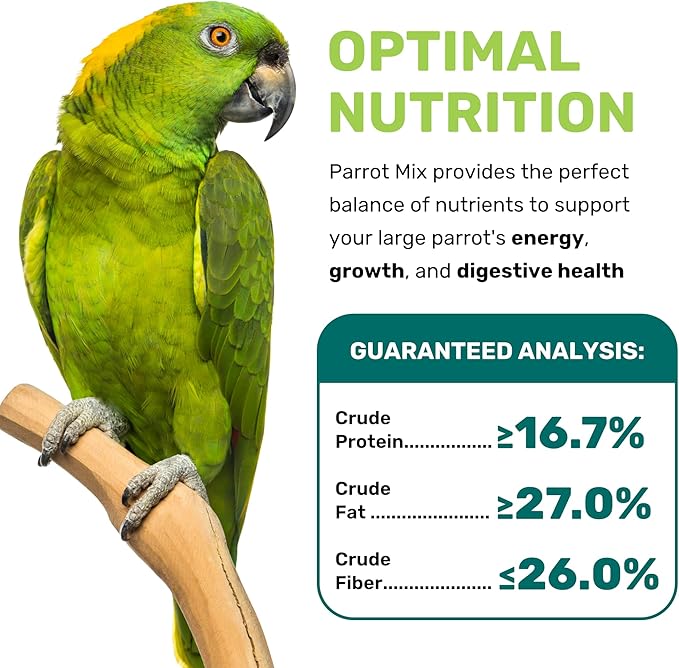 Parrot Mix 5 Lbs, Premium Parrot Food, Nutrient-Rich Blend Birdseed, Supports Energy, Growth & Digestive Health, Tasty and Enjoyable Mix Parrot Food for Healthy & Balanced Diet