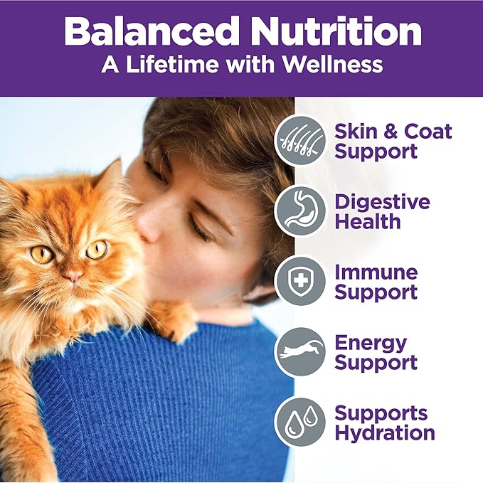 Wellness Complete Health Pate Adult Wet Cat Food, Natural, Protein-Rich, Grain-Free, 5.5 Ounce , 12 Pack, (Chicken & Turkey Favorites Variety Pack)