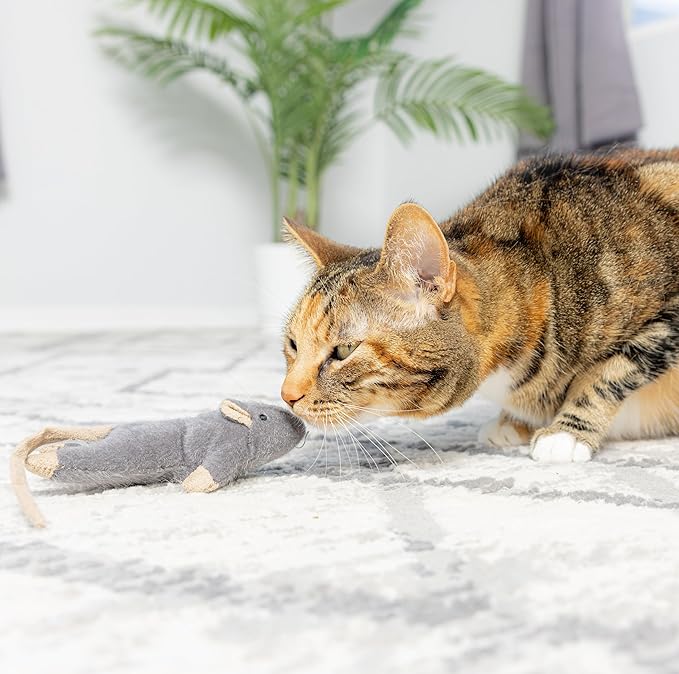 SPOT Flat Mouse Frankie with Catnip - Cat Toy, Fuzzy Mice with Catnip and Crinkle Sound, Perfect Size for Pouncing on, Chasing, Hunting - 5.5in Plush Toys, Assorted Colors (Pack of 2)