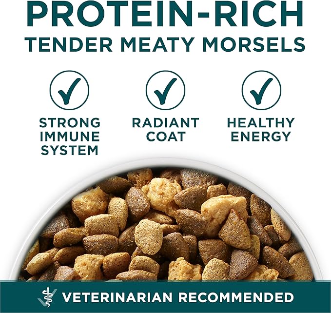 Purina ONE Plus Large Breed Puppy Food Dry Formula - 16.5 lb. Bag