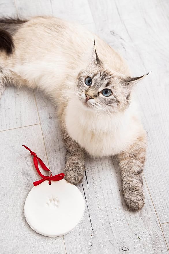 Pearhead Pawprints Christmas Ornament, DIY No Mess Pet Paw Print Holiday Keepsake Kit, Dog or Cat Stocking Stuffer Gift, for Pet Parents, Paw Print Ornament for The Holidays | (Pack of 12)